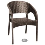 باغی با دسته