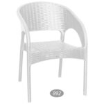 باغی با دسته